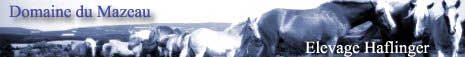 Visitez notre site - balades, week-ends, randonn�es